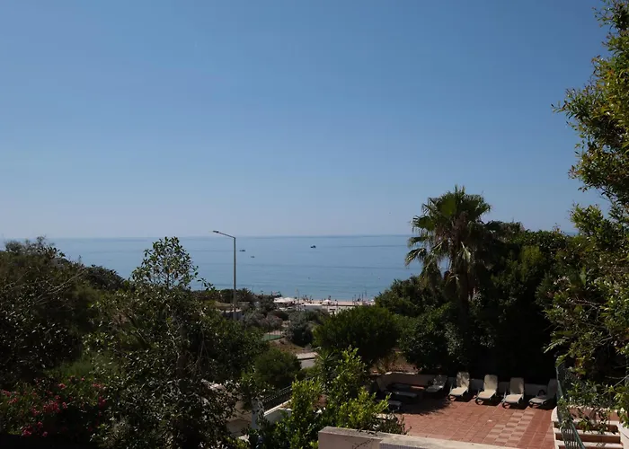 Girassol * ラゴス